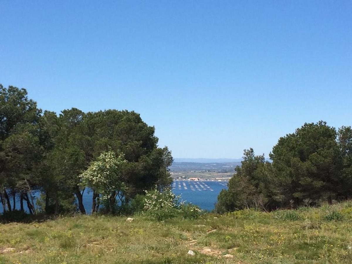 3P Climatise Avec Parking, Piscine, Proche Plage Et Commerces A Sete - Fr-1-338-497 Екстер'єр фото